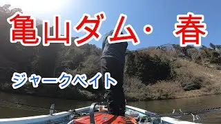【亀山ダム】ジャークベイト釣れる　2023年3月19日