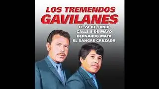 Los Tremendos Gavilanes - 15 Exitos (Disco Completo)
