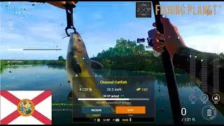 Fishing Planet || Fishing at the Florida Everglades || A part of the video got lost😢 #fishingplanet