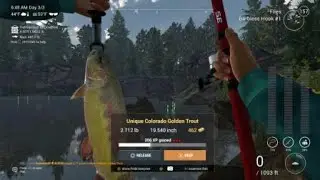 FishingPlanet Quick Striking Unique Colorado Golden Trout (AM)