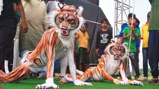 Mata Puja Tiger dance Competition mathurakati kharagpur  🐯 🙏