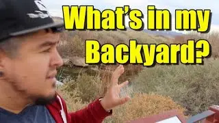 A Swamp in my backyard? | Clark County Wetlands Park | The Dan-O Channel