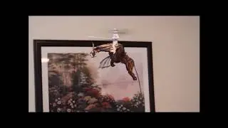 DepronKing.com Flapping Dragon   U.S. Pat. No.10,765,961