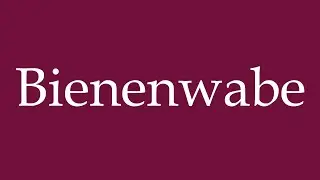 How to Pronounce ''Bienenwabe'' (Honeycomb) Correctly in German