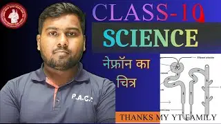Nefron ka figure I class 10th ka chitra I नेफ्रॉन का चित्र I science long question IVvi long 2026