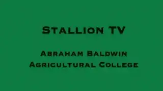 Stallion TV: South Georgia Immigrant Support Network