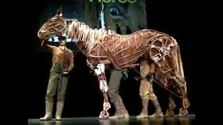 War Horse preview at Ahmanson Theatre, February 15, 2012