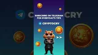 Hamster Kombat Code Morse Cipher 2024.06.15      #crypto #hamsterkombat #secretcipher #hamstercipher