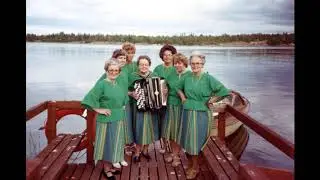 Vaaran Ainot - Yst&auml;v&auml;&auml;ns&auml; etsiv&auml;