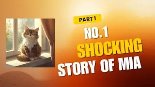 The Saddest Stray Cat Story 💔 | A Tear-Touching Journey #meow #memes #cat #catvideos #funny