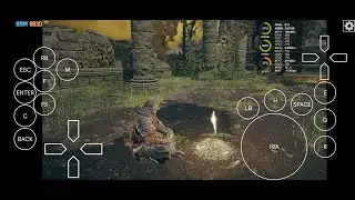 Elden Ring(DX12) - Mobox(Esync). Android, Snapdragon 7+Gen2.