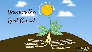 Uncover the Root Cause to Chronic Disease