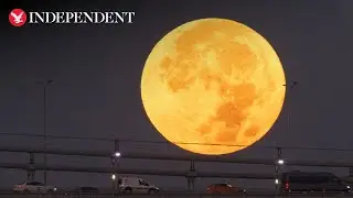 Watch again: Blue Supermoon captured above Australia's Sydney Opera House