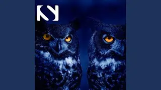 Owl Sounds at Night