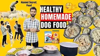 Homemade Dog food recipe: save money and keep your dog healthy | how to make dog food at home Telugu