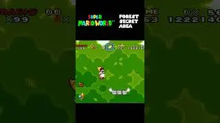 Super Mario World Forest Secret Area