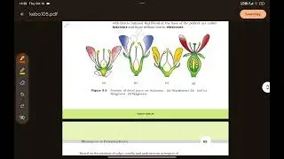  NEET 2026 AND BOARD EXAM THE FLOWER, MORPHOLOGY IN FLOWERING PLANTS,  TRICKS.#india #neet #neet2026