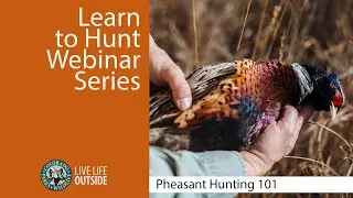 Pheasant Hunting 101 - Learn to Hunt Webinar Series