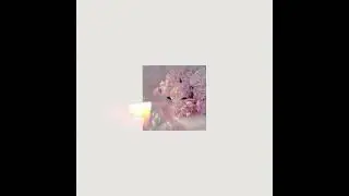 Terizo - Your smile (Prod. by ST4NDARD)