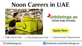 How To Apply For Noon Careers in UAE