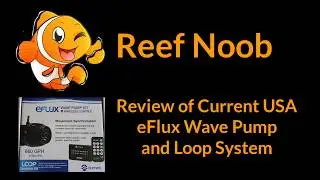 Review of Current USA eFlux Wave Pump and Loop System