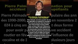 Pierre Palmade : Condamnation pour accident grave sous stup&eacute;fiants!