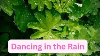Rain and Relax#BeRelaxed, #RelaxingVibes, #PeacefulMind, #CalmLife, #StressFree, #PositiveEnergy,
