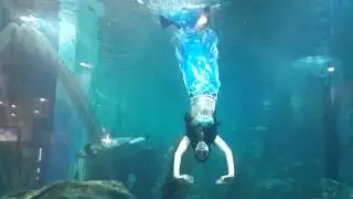 [FULL HD] Ấn tượng với n&agrave;ng ti&ecirc;n c&aacute; tại Thủy cung Times City