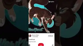 hawkfrost edit #wariorcats #hawkfrost @Anime_and_dragon