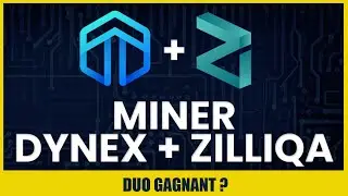 DYNEX + ZIL DUAL Mining avec SRBMiner sous HiveOS et windows.