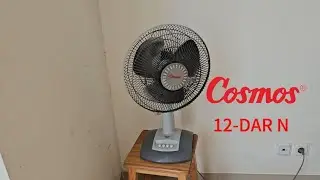 Cosmos 'Twino' 12