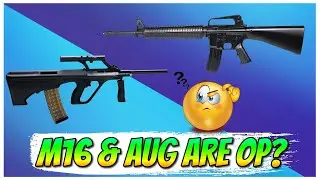 Are the M16 And Aug OP? Black Ops Cold War