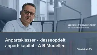 Anpartsklasser - klasseopdelt anpartskapital - A B Modellen