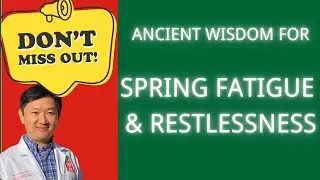 Lichun & the 24 Solar Terms | Ancient Wisdom for Spring Fatigue &  Restlessness