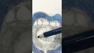 Galaxy lips