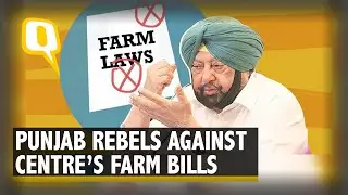 Punjab Passes Three Bills Against Centre's Farm Laws, President Yet to Approve | The Quint