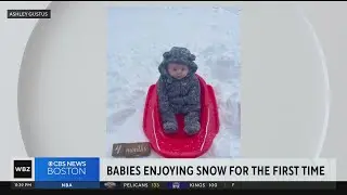 Weekend storm gives some Massachusetts babies their first chance to see snow