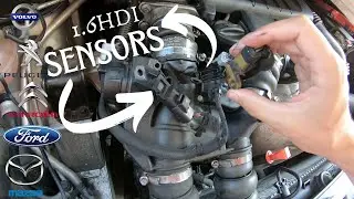 1.6 HDI TDCI Engine Cleaned the MAP sensor and the temperature sensor , Capteur MAP et température