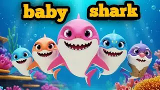 Baby Shark Family 🦈👶👨‍👩‍👧‍👦 Adventure | Aquarium Park Ride | Kids Cartoon 3D Video