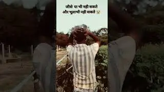 😭😇.. प्यार हुआ  इस इंसान .. #SadStory, #Emotional, #Heartbreak,  #Dard, #Yaadein, #Alone, #