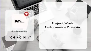 Project Work Performance Domain lofi