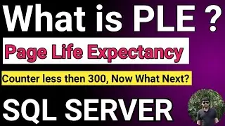 SQL Server PLE | What is Page Life Expectancy ( PLE ) | What is PLE counter ? How to calculate PLE ?