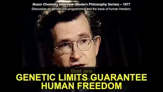 The Paradox: Why Rigid Genetic Constraints Lead to Human Freedom and Creativity