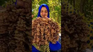 Famous Sweet | Northern Areas Pakistan | Village | Best Vlogs | Short