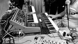 PULSE - LIVE. #moog subsequent 25 #deep mind 6 # korg kross 2