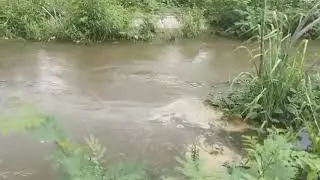 Eu tava vendo o pé Jamelão e olha aconteceu😱
