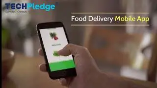 TechPledge Consulting Development Portfolio