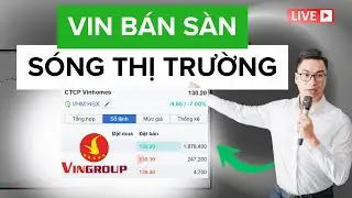 VIN B&Aacute;N S&Agrave;N - V&Agrave;O S&Oacute;NG THỊ TRƯỜNG | T&uacute; L&ecirc;