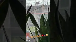 PH Rain Frenzy&hellip;🇵🇭