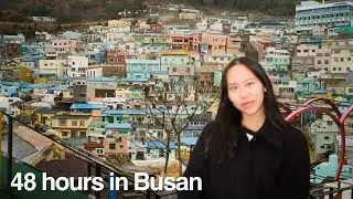 Medical School Side Quest: Busan, South Korea | UNSW Med Y6 Elective
